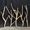 Ramas y Troncos de Madera Natural para Lámparas DIY, Adornos Decorativos y Paisajismo Artístico