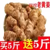 Envío gratisJengibre al por mayor, jengibre maduro, jengibre amarillo, jengibre comestible, jengibre nativo, jengibre madre, jengibre posparto, jengibre amarillo grande, jengibre pequeño, fresco