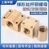 Tornillo de plomo trapezoidal Guía lineal Cuadrado cilíndrico Tapa de tuerca de latón NSBR10 T12 14 16 T20-T36