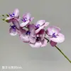 7 orquídeas Phalaenopsis artificiales, ramas de Phalaenopsis colgantes estilo europeo con textura delicada, ramas de orquídea Yunsu para paisajismo decorativo