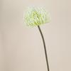 Almofada de Alfinetes Simulação Flor Espinho Selvagem Aipo Ramo Único Flor Tyrannum Flor Garra de Caranguejo Crisântemo Ouriço do Mar Crisântemo Flor Artificial Flor de Plástico Casamento Decoração de Casa