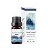 Comercio exterior transfronterizo aceite esencial de aromaterapia soluble en agua humidificador piedra expansora aceite esencial interior armario ambientador incienso fresco
