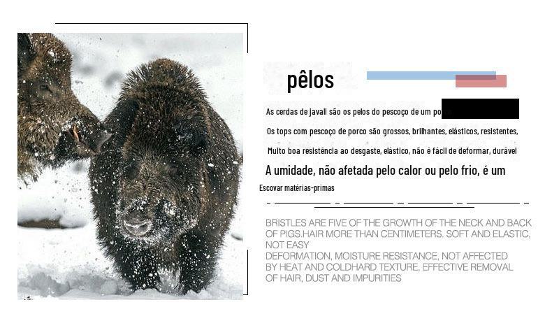 11250995009_2092725234