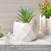 Vaso de Porcelana Branca de Dehua Vaso para Flores Suculentas Branco Puro Moderno Jardinagem Doméstica Cerâmica Vaso Pequeno Simples Transfronteiriço Vaso Pequeno para Plantio de Suculentas