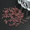 Joias de Piercing Substituição Rosca Interna Cabeça Transparente ABS Versátil Stud de Lábio Stud de Língua Cabeça de Substituição Acessórios de Joias