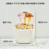 Adornos de Escritorio Hechos a Mano de Flor de Jacinto Suculento Esmaltado Decoración de Maceta de Planta Artificial de Vidrio Micro Paisaje Creativo