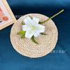3D una flor dos capullos W Lirio película de impresión 3D flor de lirio arreglo floral para salón de bodas decoración del hogar flor de lirio de simulación