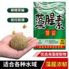 Cebo Shen Gu con Aroma a Algas, Cebo para Peces con Aroma a Algas, Aditivo Alimenticio para Peces Element, Paquete de Pesca con Fragancia a Pescado, Cebo de Amplio Espectro