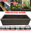 Tanque de Corriente de 1.2 m con Canaleta de Arcilla Púrpura para Cría de Peces Dorados, Loto Hidropónico y Paisajismo para Jardines de Patio y Plantación de Flores y Árboles