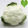 Brócoli Simulado, Verduras de Imitación de Alta Calidad, Verduras de PU, Verduras Artificiales, Verduras Falsas, Coliflor, Repollo, Mayoreo