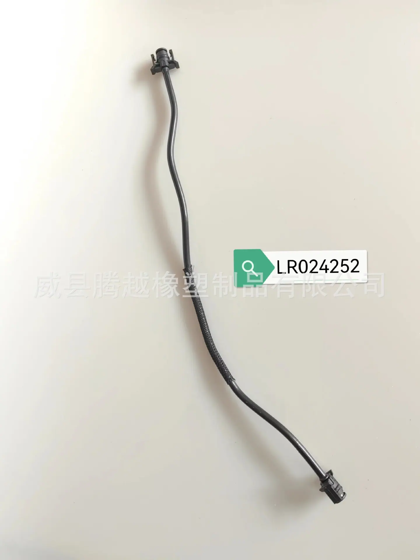 LR024252