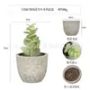 Planta en Maceta Artificial Mini Transfronteriza Hecha a Medida Adornos de Escritorio Bonsái Suculento de Simulación Flor Artificial Planta Verde Pulpa Suculenta Planta en Maceta