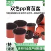 Macetas para plántulas de doble color macetas de nutrición plástico plantación desechable esqueje grueso grande cultivo fresa suculentas flores
