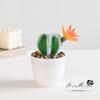 Maceta de Plástico con Flor Falsa, Suculenta Artificial Cactus Tropical Bonsái, Pequeños Adornos Creativos, Suministro Directo de Fábrica de Plantas Verdes