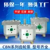 Bomba de Óleo de Engrenagem CBN CBT/CBN-F304/F306/F310/F312/ Bomba de Engrenagem Tipo Flange
