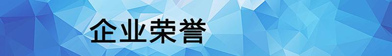 企业荣誉12.jpg