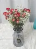 Gipsófila Rosa Ramo Seco Real de Año Nuevo Flor Eterna Decoración de Oficina Accesorios para el Hogar Estilo Ins Escandinavo