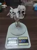 Marco de Calavera para Producto Nuevo Transfronterizo 90cm Articulado Ajustable Adorno de Terror de Halloween Calavera Humana Esqueleto Calabaza Marco de Calavera