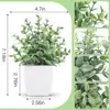 Planta verde artificial pendurada Vaso Frost lavanda decoração sala de estar casa plástico pequeno bonsai eucalipto flor artificial planta