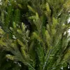 Árbol de Navidad de Pie de Lujo Nuevo Modelo de Venta Caliente Transfronteriza, Mezcla de PE Artificial, para Uso Doméstico, Directo de la Fábrica Fuente, Exclusivamente para Suministro Transfronterizo