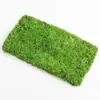 Pelo corto pequeño gris patio cuadrado grande gris tanque de musgo musgo verde musgo blanco artificial pelo musgo tanque de selva fresca paisajismo fresco