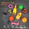 Pelota de Juguete para Perro Mascota, Para Dentición, Resistente a Mordidas, Pollo que Chilla, Teddy, Kirkland, Cachorro, Suministros para Alivio del Sonido