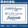 Pegatina de tatuaje de hierbas con diseño de planta de jugo, nombre en inglés, para hombres y mujeres, impermeable, de larga duración, simulación