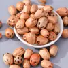 Materiales para Sonajero de Cáscara de Fruta Natural Llavero de Sonajero DIY Colgante para Bolso Accesorios Hechos a Mano para DIY Materiales para Carrillón de Viento