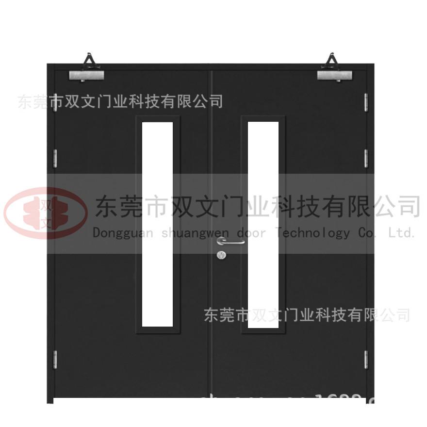 双文双开带玻璃门2PS.jpg