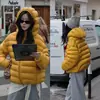 Estilo Coreano Holgada Nueva Chaqueta de Plumas para Mujer Costillada Hinchada Mismo Material por Dentro y por Fuera Caparazón de Tortuga Corta con Capucha Chaqueta de Algodón