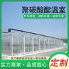 Invernadero de Policarbonato Esqueleto de Invernadero de Tubo de Acero Galvanizado Plantación de Verduras y Frutas Invernadero de Tablero Solar