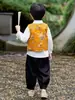 Conjunto de Hanfu de Otoño para Niños, Nuevo Estilo Chino para Niños, Disfraz de Otoño para Actuaciones, Chaleco Estilo Chino Tang Suit para Niños, Conjunto de Tres Piezas
