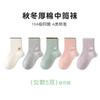 Calcetines Infantiles Tangram Otoño e Invierno Algodón Peinado Calcetines de Caña Media para Niños Mayores, Algodón Transpirable de Clase A Sin Costuras Color Sólido para Niños y Niñas