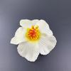 Mingchu Hibae Flor de Amora Joias Flor Artificial Feminina Doce Flor de Praia Marítima Grampo de Cabelo Presilha de Cabeça Flor de Ovo Lote