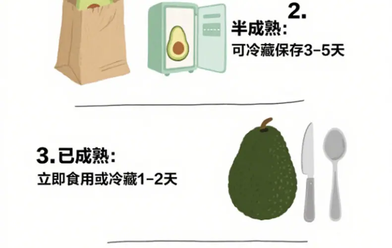 秘鲁进口牛油果 代发2/4/6/8枚中大果鳄梨全年软糯奶油果新鲜水果详情图2
