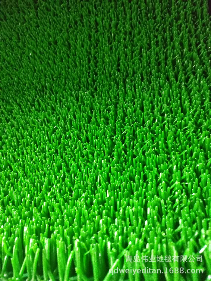 IMG20230220111411.jpg