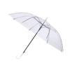Atacado do Fabricante Criativo Pequeno Fresco Haste Reta Pontilhado Guarda-chuva Transparente Guarda-chuva Arco-íris Combinação de Cores Guarda-chuva Transparente Pode Imprimir Logotipo