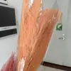 Grama Barba de Dragão Eterna Pendurada Arroz Decoração de Casa Pendurada na Parede Planta de Rattan Decoração de Casamento Grama Aspargo Grama Pena Grama Barba de Dragão