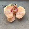 Cabeça de Flor de Orquídea Phalaenopsis Artificial, Textura de Película Impressa em 3D, Buquê Exquisito para Decoração de Casamento e Lembrança