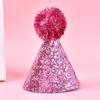 Chapéu de Aniversário Atacado Crianças Ano Velho Feriado Fantasia Pet Gato Cachorro Chapéu de Festa Bebê Decoração de Festa de Aniversário
