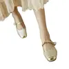 Estilo Nacional Novo Estilo Chinês Sapatos Mary Jane 2025 Primavera/Verão Novos Retro Versátil Francês Baixo Bico Sapatos de Salto Leve Dopamina