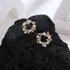 Aretes Casuales Nicho Elegantes de Alta Gama Aguja de Plata S925 Zircón para Mujer Exquisitos Aretes de Perlas Clips para Orejas Sin Perforar