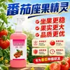 Agente Específico para Floração de Tomate Polinização Borrifador de Flores Proteção das Flores Proteção dos Frutos Aumenta a Taxa de Floração Um Toque é Eficaz Tomate