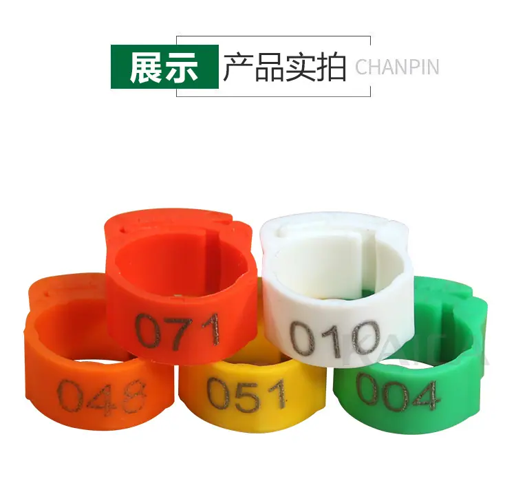 详情_10