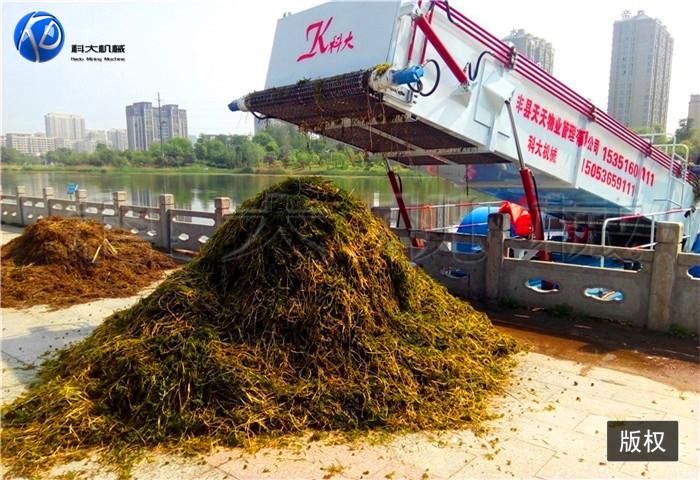 16江苏丰县割草船 (3).jpg