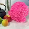 Flores Preservadas Anna Hortensia Ramo Seco Flores Preservadas Yunnan Hojas Pequeñas Multicolor Bricolaje Decoración del Hogar Transfronterizo Yunnan