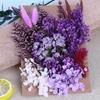 Día de la Madre Flor Eterna A5 Paquete de Material de Tablero de Flores en Relieve Marco de Fotos DIY Abanico Sombrero de Paja Material de Flores Flores Secas