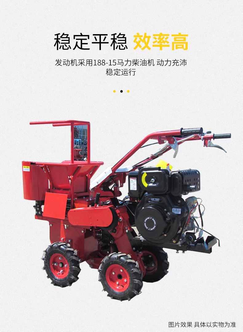 玉米_04