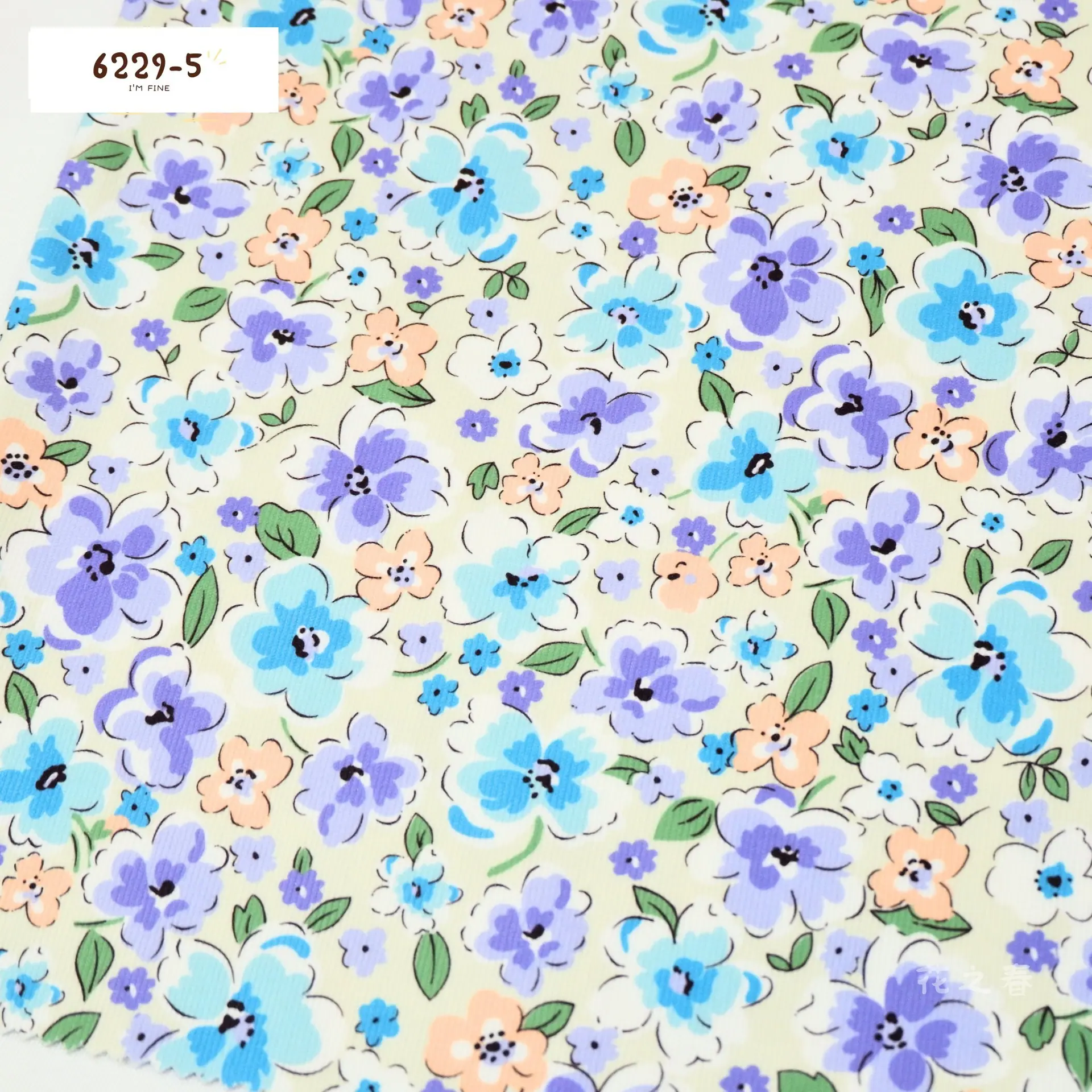 6229-5
