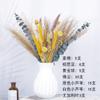 Novo buquê de combinação de flores secas pó junco coelho cauda grama pequeno buquê decoração para casa ornamentos Yunnan fabricantes atacado
